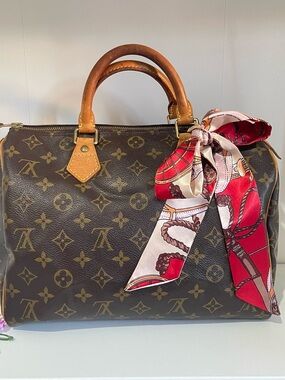 LOUIS VUITTON Speedy 30 handbag